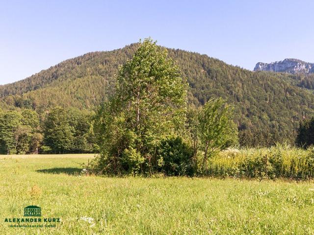 Bauernhof im Chiemgau mit ca. 37 ha Wiese und Wald