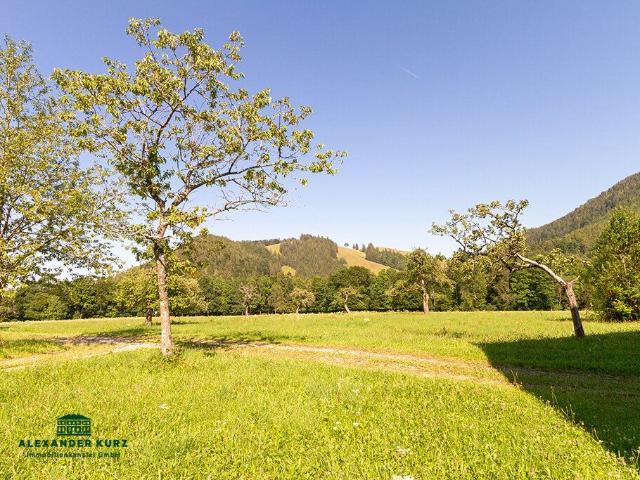 Bauernhof im Chiemgau mit ca. 37 ha Wiese und Wald