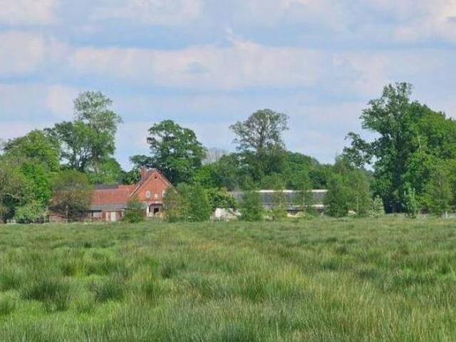 Bauernhof in Offenwarden