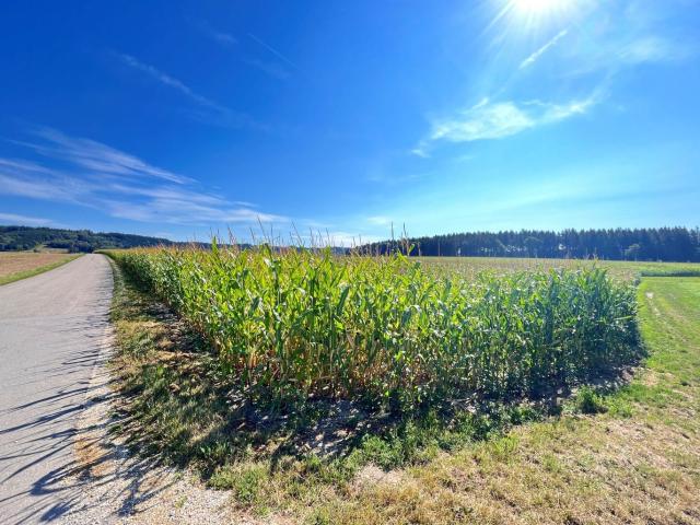 Bauernhof mit über 40ha Nutz und Waldgrund