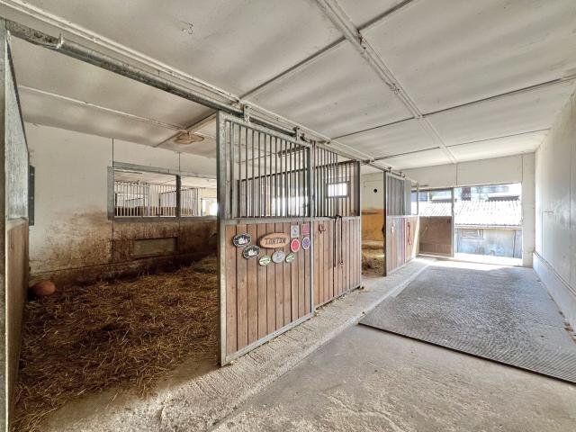Bauernhof mit 2 Wohneinheiten, Stall, Lager, Pferdekoppel, Parks | dreamo. Ch