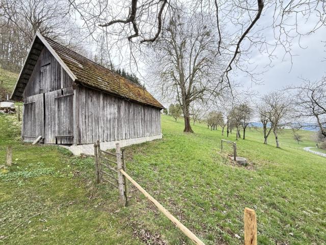 Bauernhof Nähe Steyr
