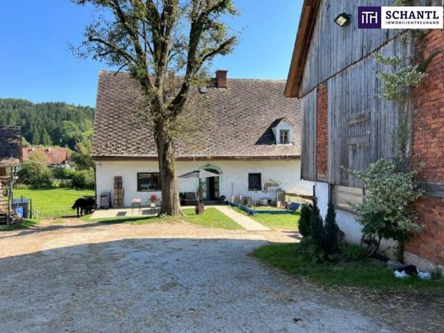 Bauernhof von 160 m2 zu verkaufen Stallhofen, Steiermark