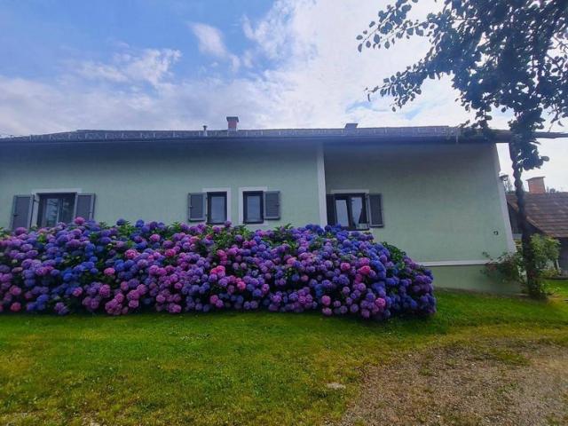 Bauernhof von 118 m2 zu verkaufen Sankt Nikolai im Sausal, Steiermark