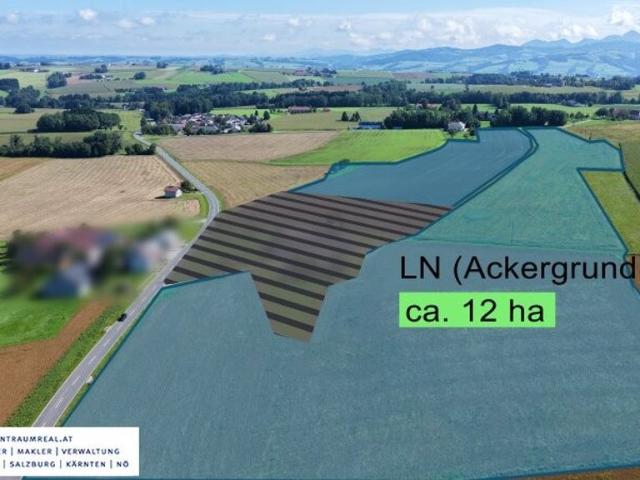 Bauernhof von 120000 m2 zu verkaufen Pratsdorf, Oberösterreich