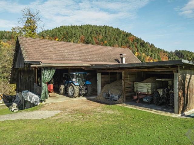 Bauernhof von 200 m2 zu verkaufen Velden, Österreich