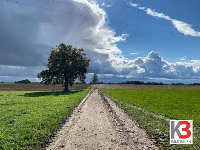 Bauernhof zu verkaufen Obernberg am Inn, Oberösterreich