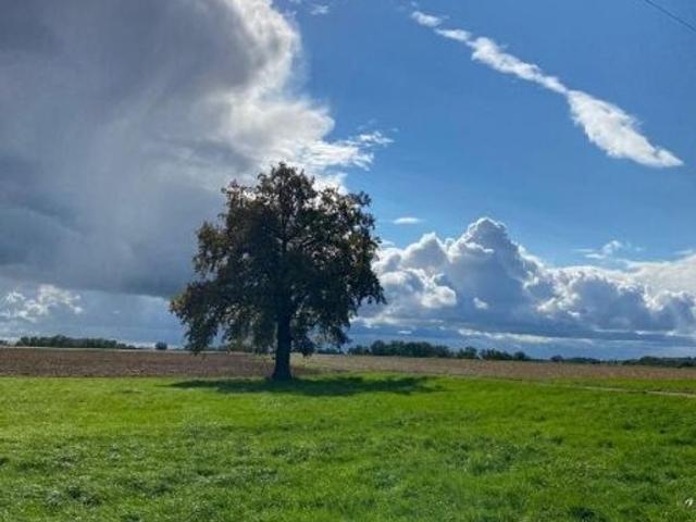 Bauernhof zu verkaufen Bad Füssing, Bayern