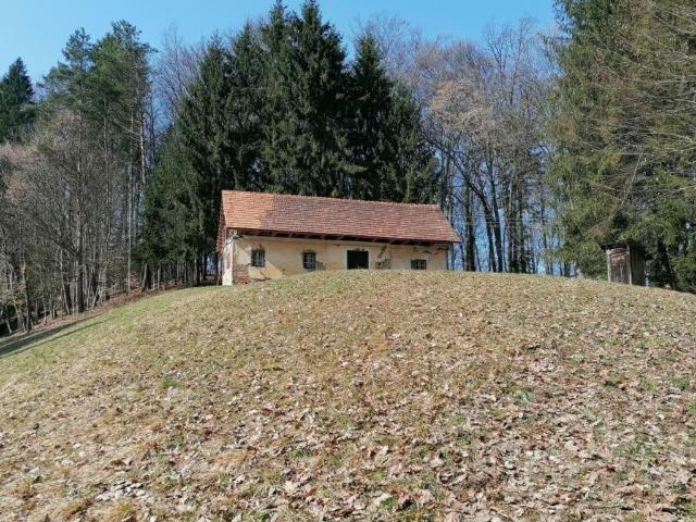 Bauernhof zu verkaufen Ehrenhausen, Österreich