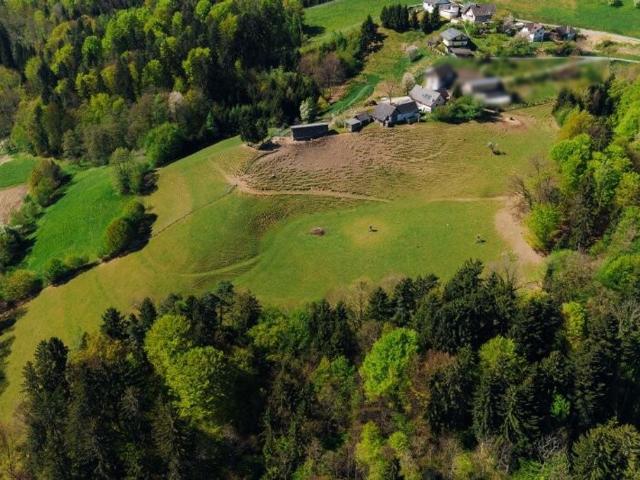 Bauernhof zu verkaufen, Gamlitz, Steiermark