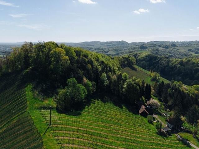 Bauernhof zu verkaufen, Gamlitz, Steiermark