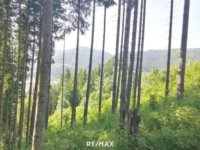 Bauernhof zu verkaufen, Steinhaus am Semmering, Steiermark