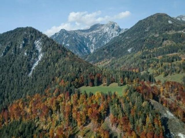 Bauernhof zu verkaufen, Sankt Veit an der Glan, Kärnten