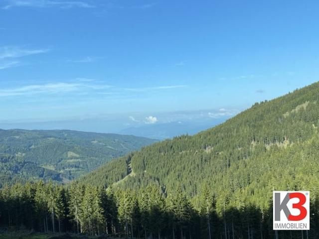 Bauernhof zu verkaufen Wolfsberg, Österreich