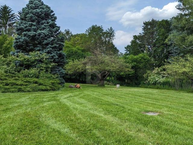 Baugelände Eichgraben, Niederösterreich