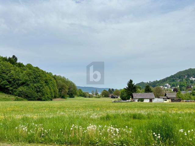 Baugelände Reifnitz, Kärnten