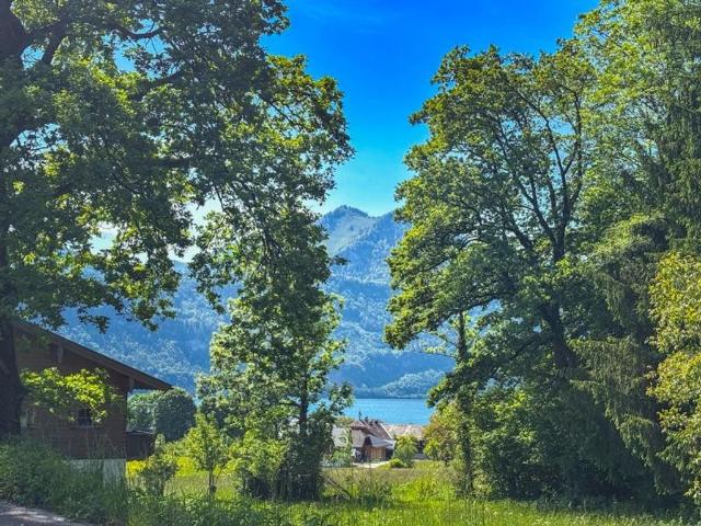 Baugelände Sankt Wolfgang, Oberösterreich