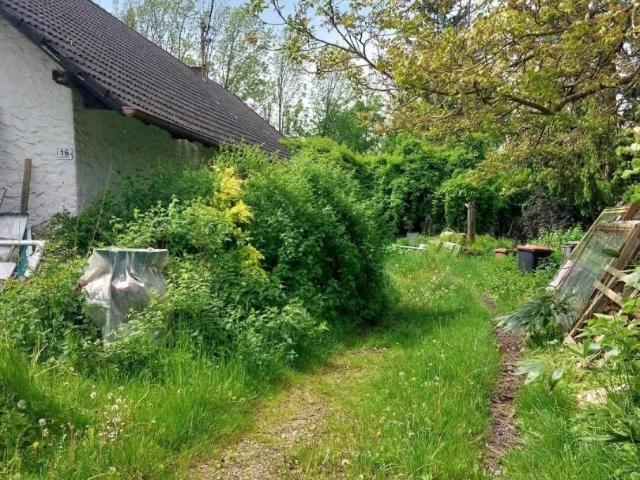 Baugrund mit Altbestand