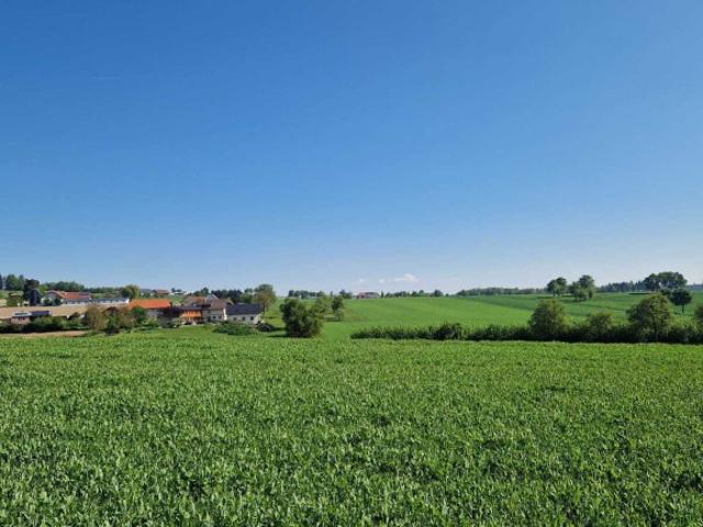 Baugründe in Pollham sonnig in erhöhter Lage ab 77550