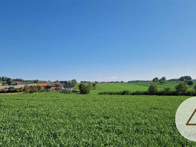 Baugründe in Pollham sonnig in erhöhter Lage ab 77550
