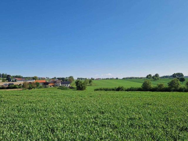 Baugründe in Pollham sonnig in erhöhter Lage ab 77550