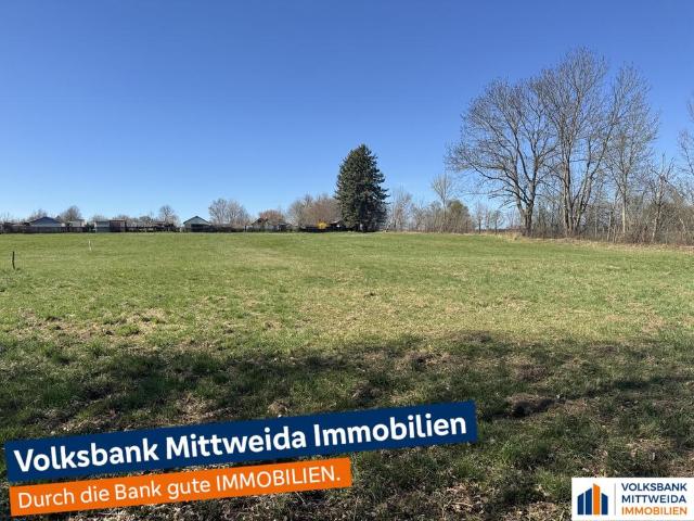 Baugrundstück mit 6.150 m², für 1 6 EFH, in sehr guter Wohnlage!