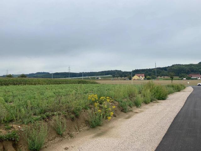 Baugrundstück mit vielseitigem Potential in Wieselburg