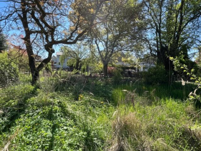 Baugrundstück mit Wohlfühlgarantie in Berlin Mahlsdorf