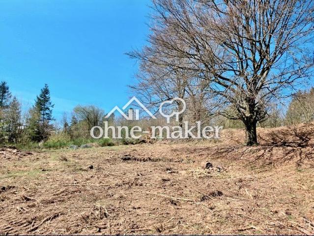 Baugrundstück mit einer Fläche von 1.458 m² in Trippstadt