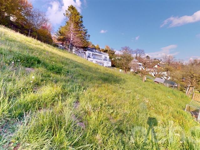 Baugrundstück mit Panoramablick auf den See und die Alpen