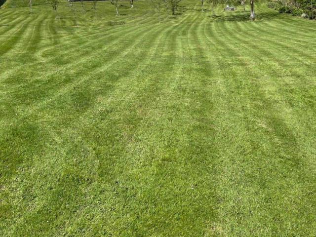 Baugrundstück in Top Ruhelage! #2