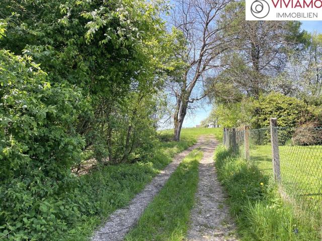 Baugrundstück: 4400 Garsten in nachgefragter Lage ohne Bauzwang!