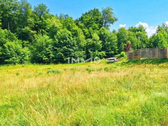 Baugrundstück 914m² in Steinakirchen am Forst – Ihr Traum vom Eigenheim wartet!