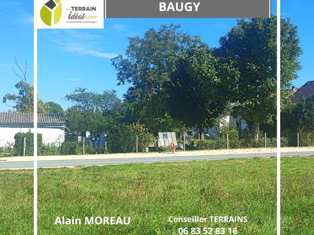 Baugy Vente Terrain 18