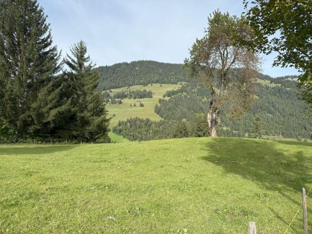 Bauland an sonniger und aussichtsreicher Lage in Zweisimmen Rinderberg