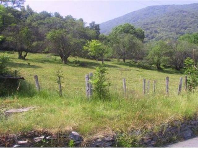Terreno edificabile in mezzo alla natura