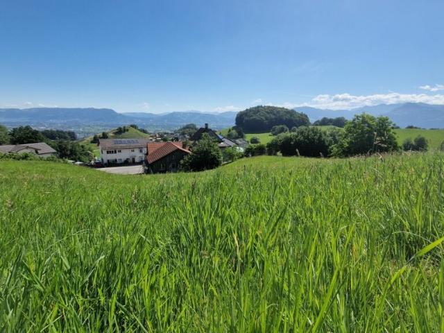 Bauland Wilen, Walzenhausen