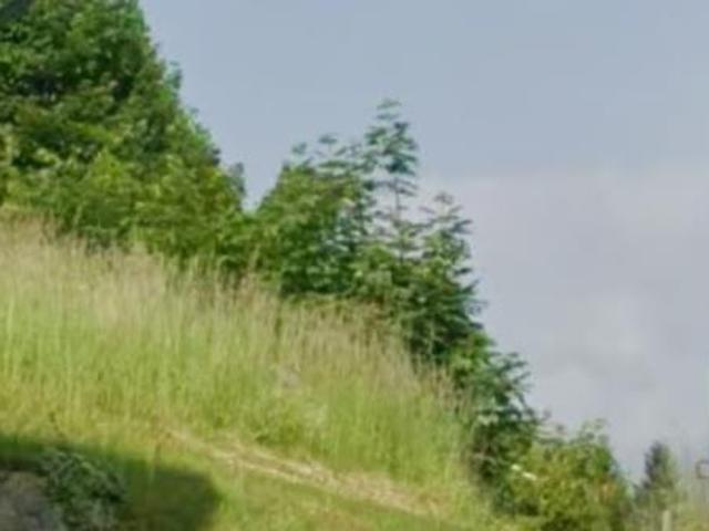 Bauland