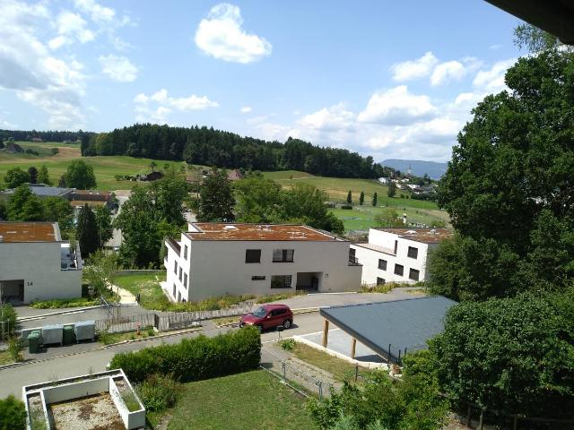 Bauland