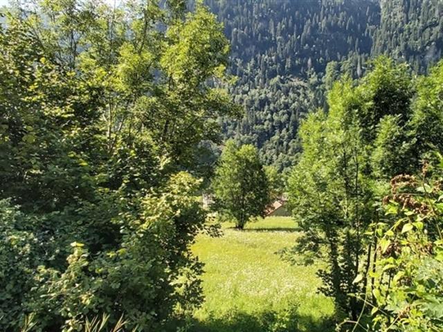 Baulandgrundstück mit Projekt /Building plot with approved project in ruhiger, sonniger Lage mit schöner Aussicht