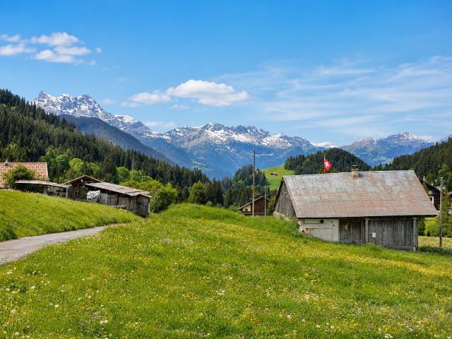 Baurecht von 1582 m² im Zentrum von Les Mosses – Ormont Dessous VD, Waadtländer Alpen