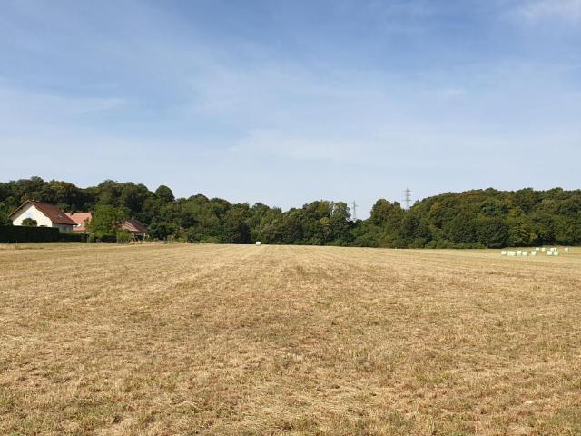 Bavilliers Vente Terrain 90
