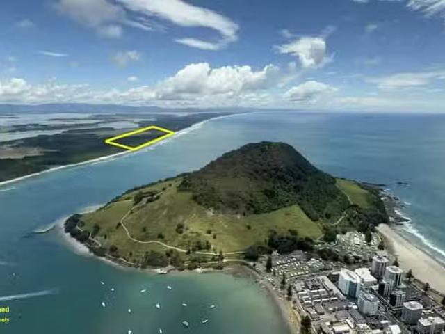 Bay of Plenty For Sale