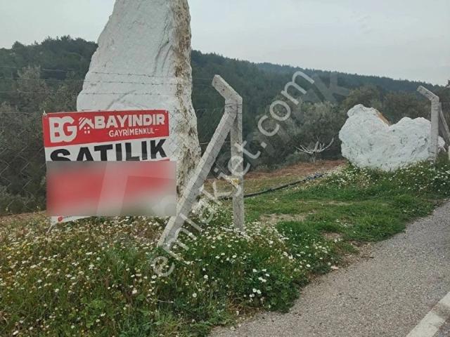 Bayındır Gayrimenkul kızılcıagac Mah satılık Zeytinlik