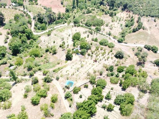 Bayındır Hisarlık' ta 22 Dönüm Satılık Cevizli Çiftlik Arazisi