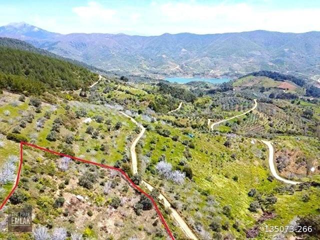 Bayındır Lütuflar da Satılık İncir Ve Zeytin Bahçesi