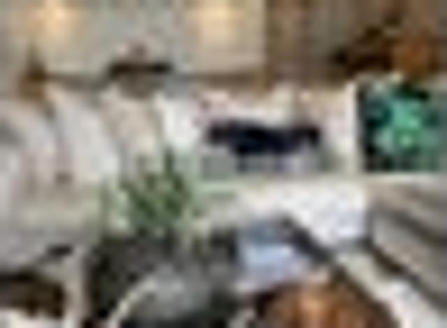 Bay View, 1 bedroom, $795 pw