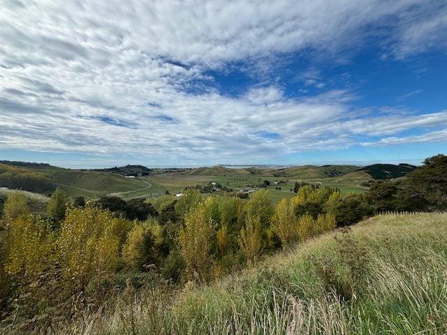 Bay View, Studio
