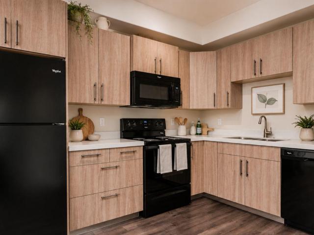 Baydo Place 1 Bedroom Apartment Apartment for Rent