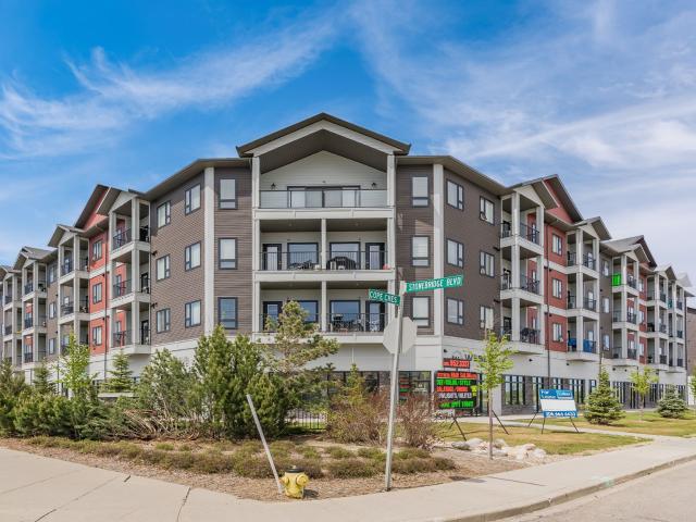 Baydo Place Apartment Apartment for Rent